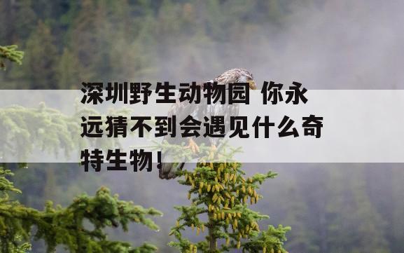 深圳野生动物园 你永远猜不到会遇见什么奇特生物！